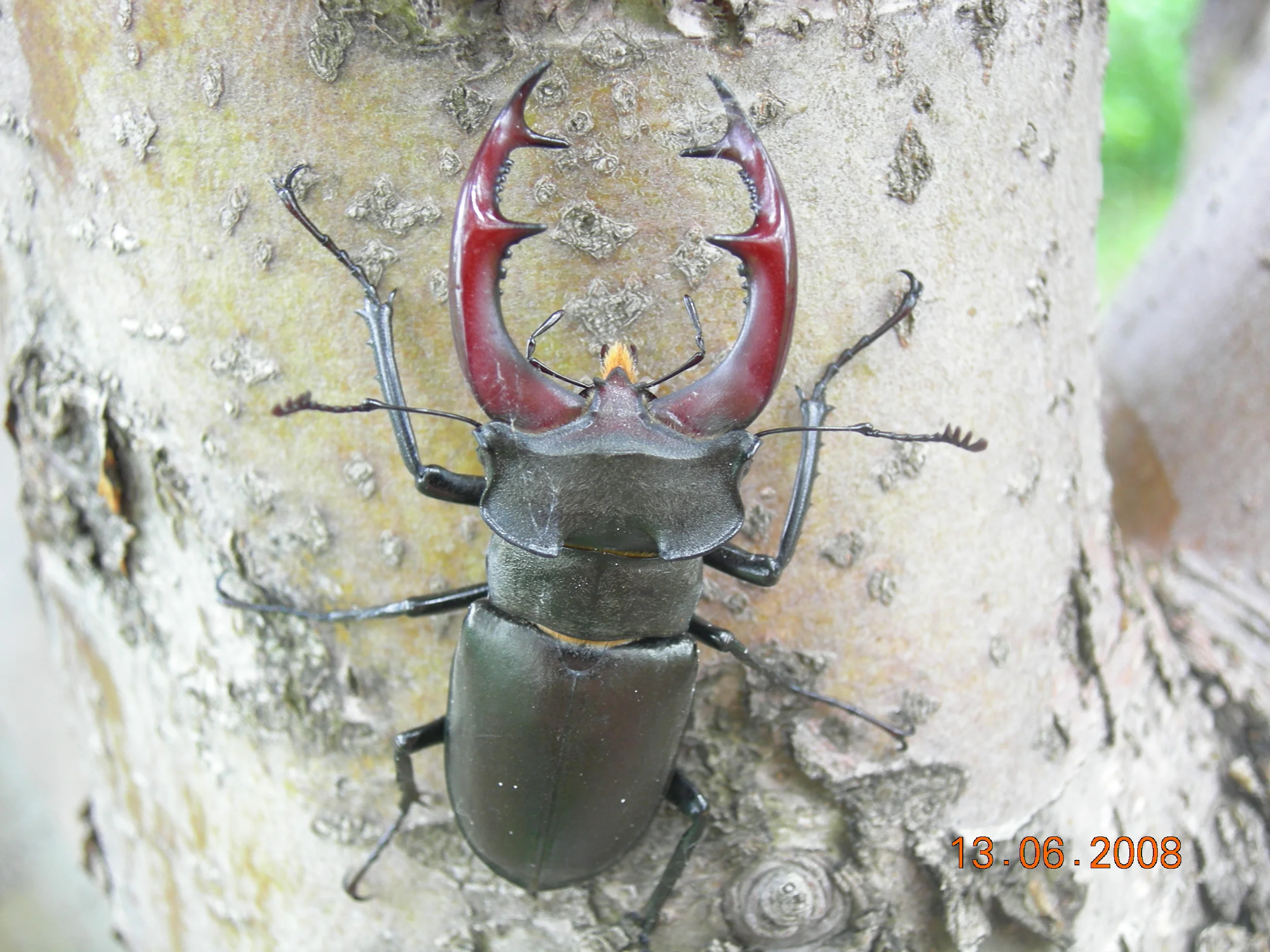 фото с природы 005.webp