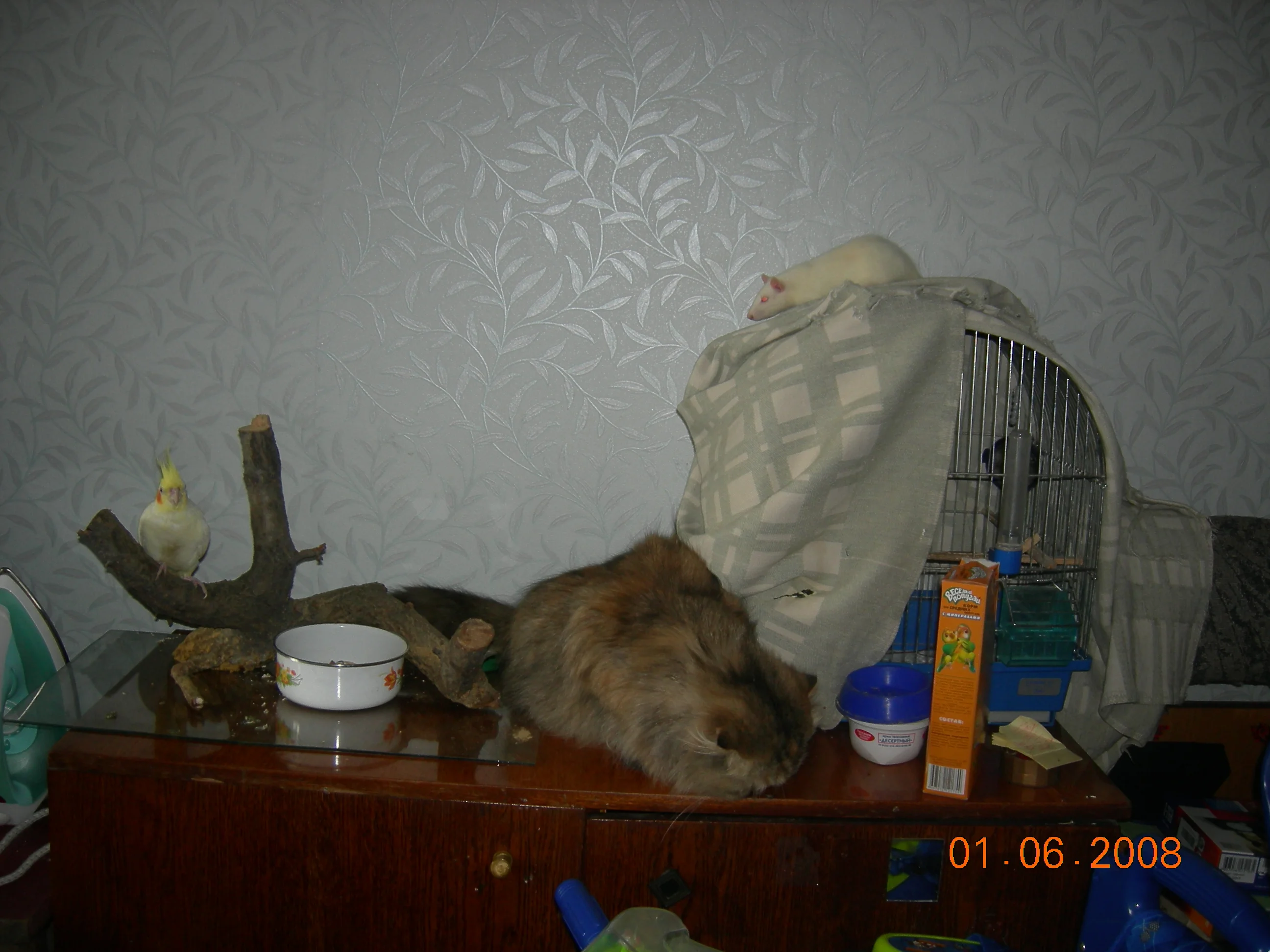 фото с природы 009.webp