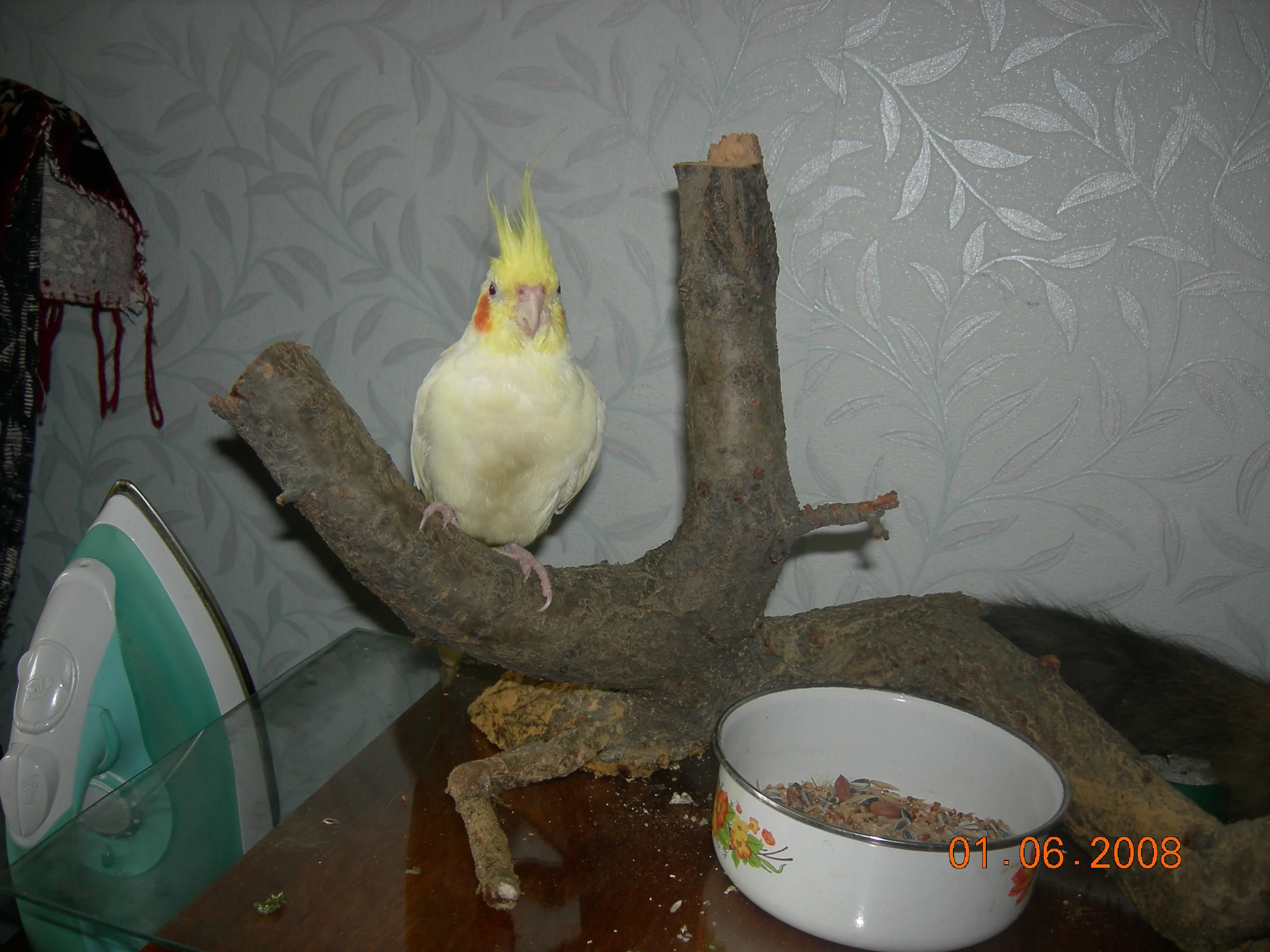 фото с природы 010.webp