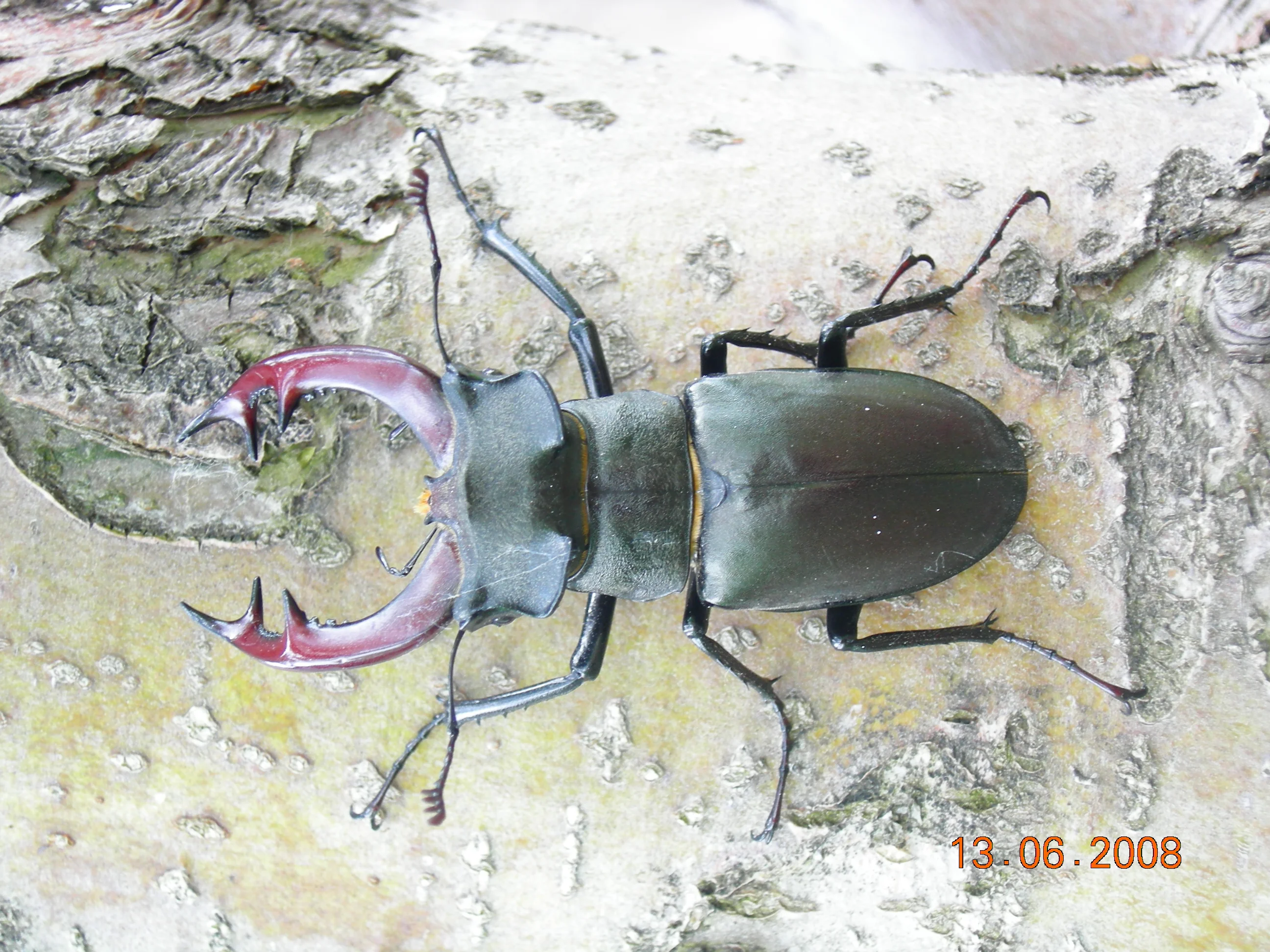 фото с природы 027.webp