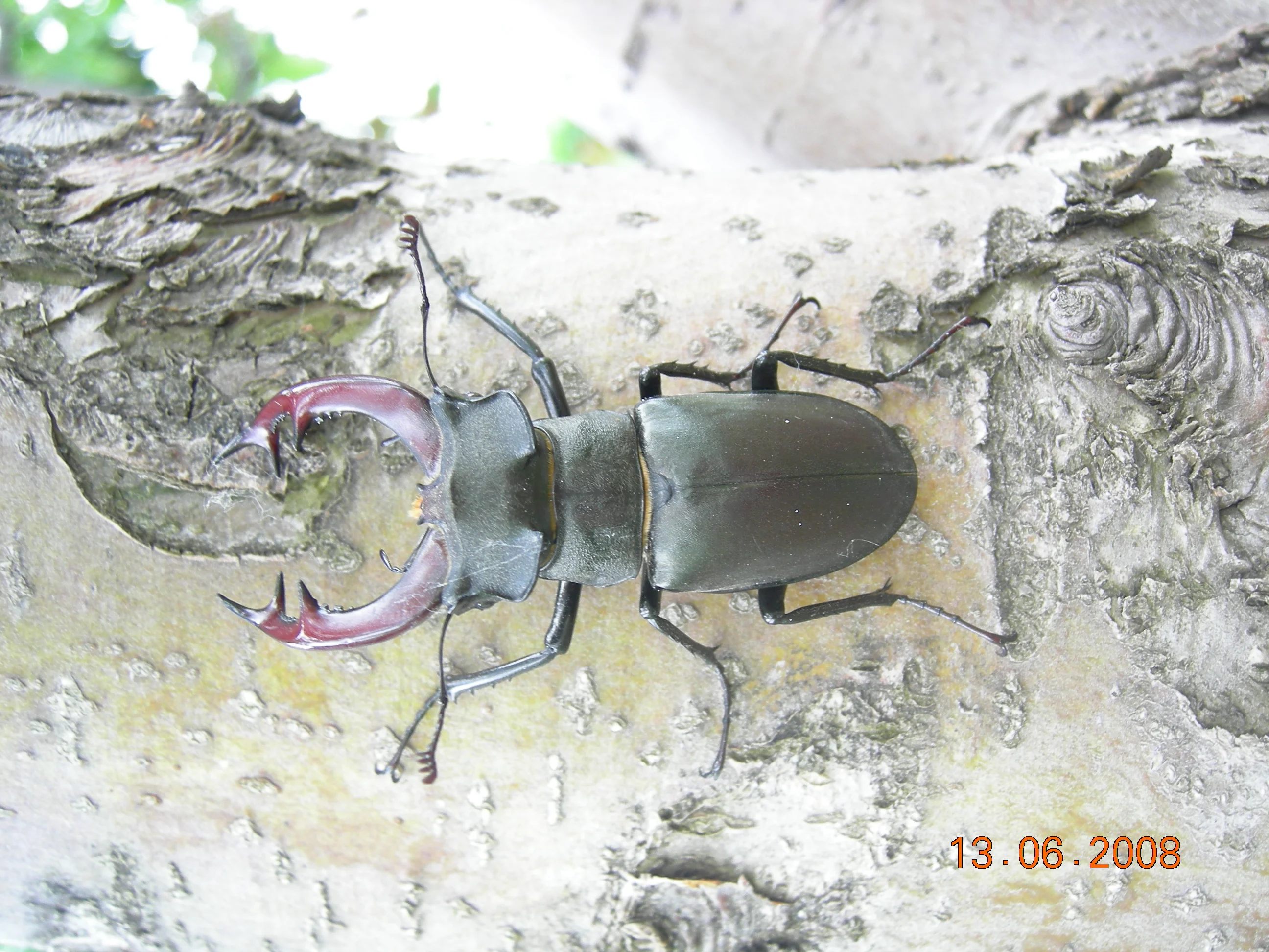 фото с природы 028.webp