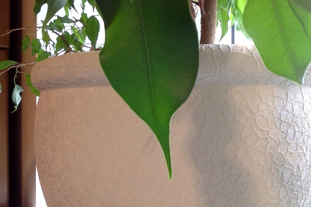 Фотография 03.09.17 в 10.26.webp