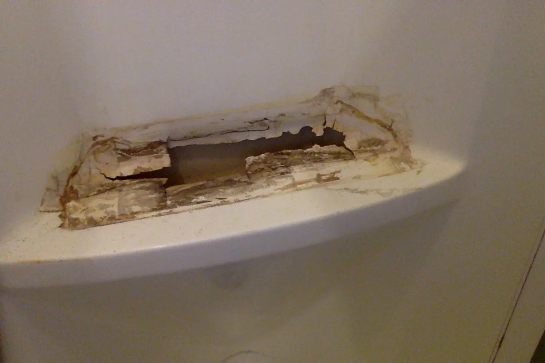 Фотография 03.10.17 в 18.41.webp