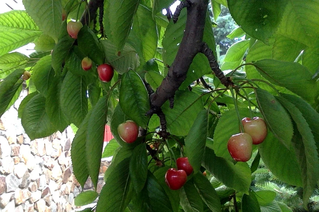 Фотография 04.06.17 в 8.42.webp