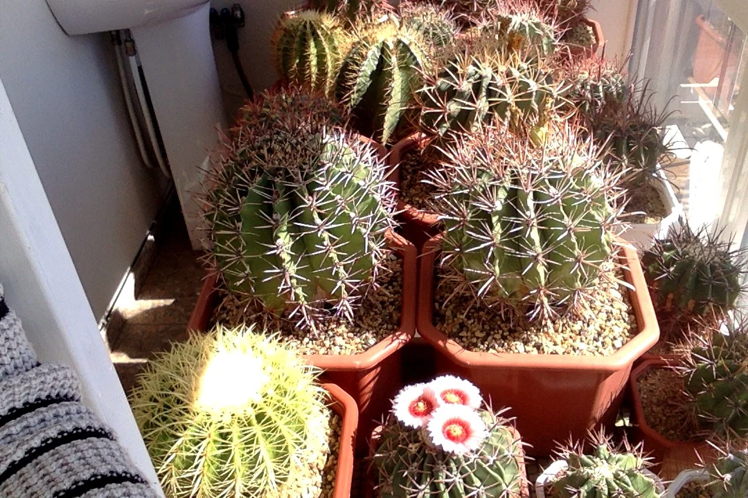 Фотография 05.04.17 в 12.48.webp