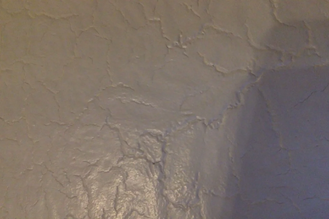 Фотография 07.12.17 в 6.29.webp