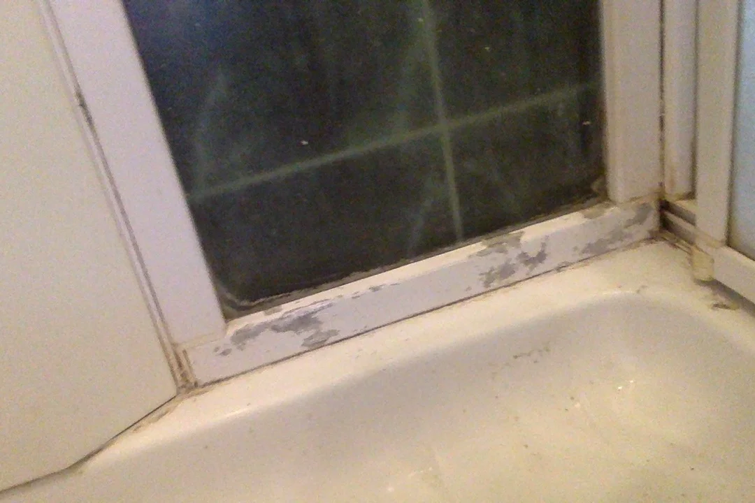 Фотография 08.10.17 в 12.07 #2.webp