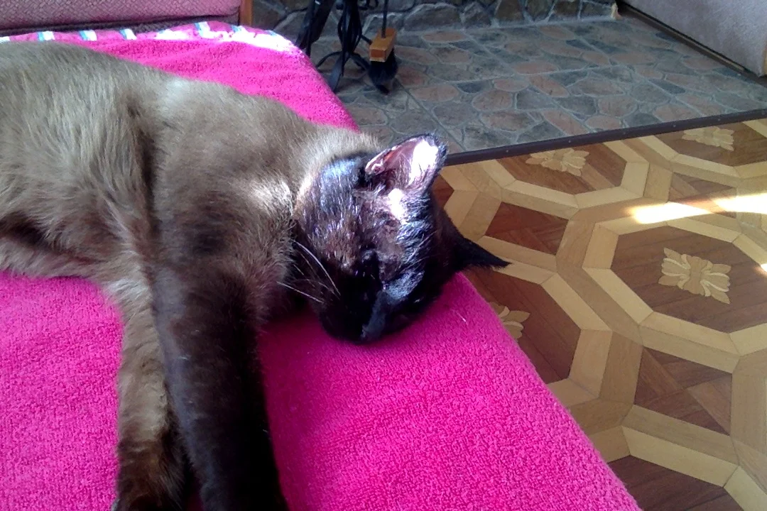 Фотография 11.02.18 в 12.32.webp