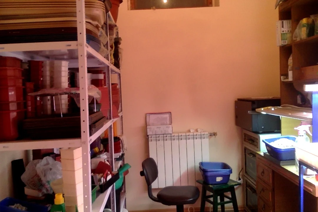 Фотография 11.12.17 в 20.04 #2.webp