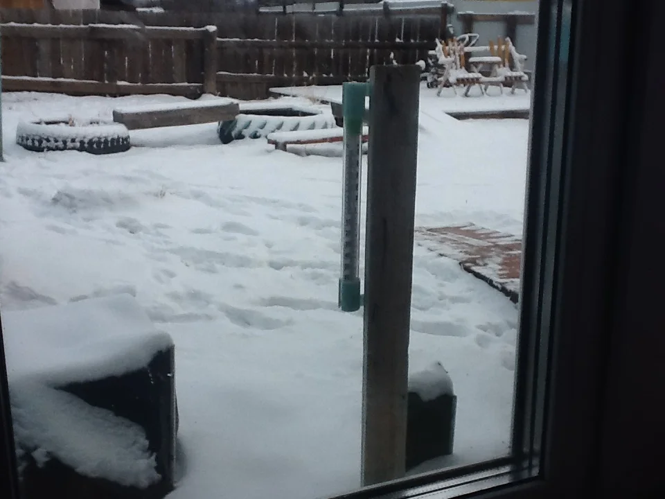 фотография (11).webp