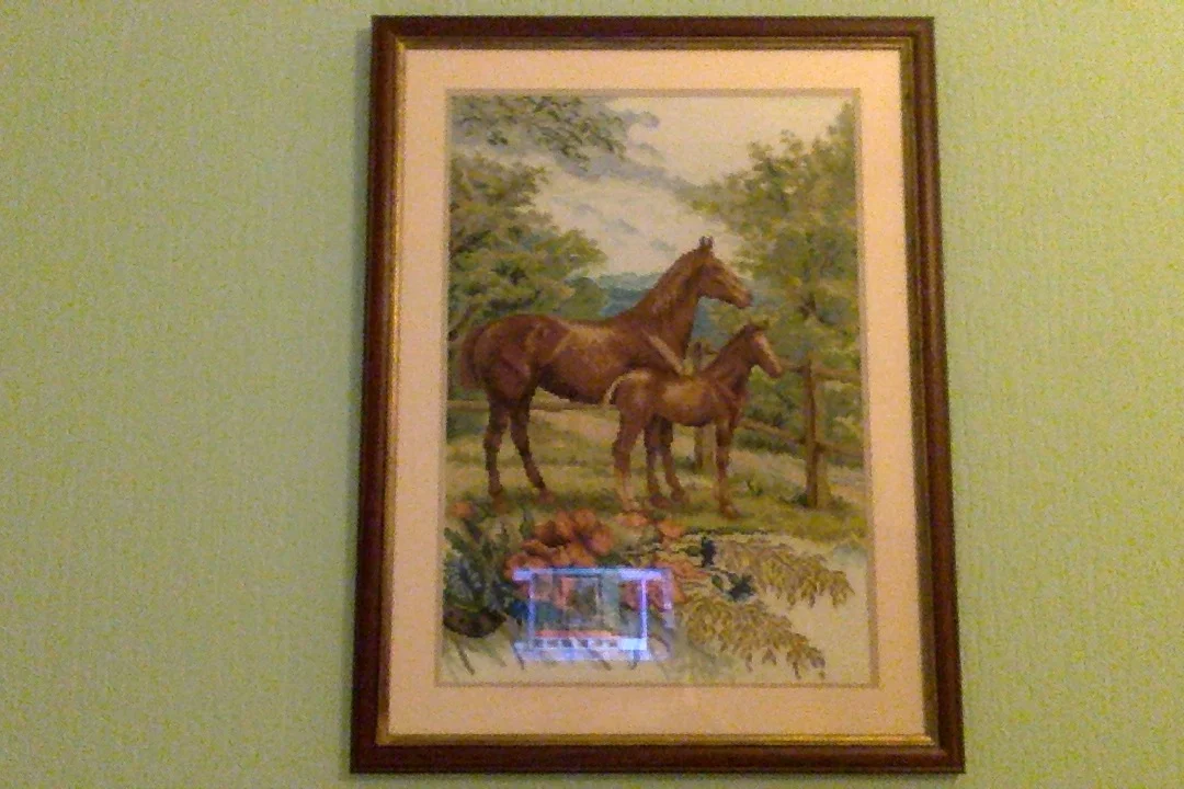 Фотография 12.02.18 в 20.43.webp