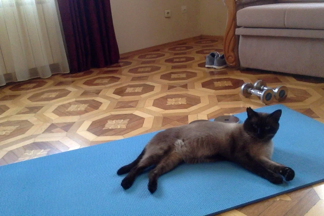 Фотография 14.10.17 в 12.01.webp