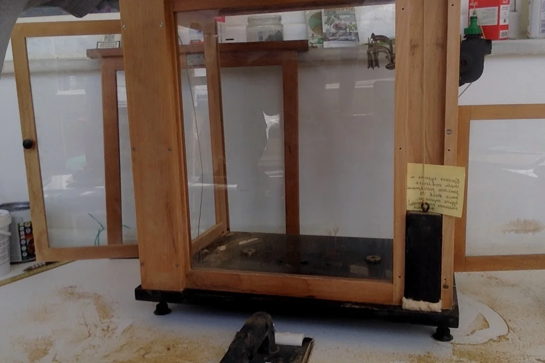 Фотография 15.07.17 в 13.13.webp