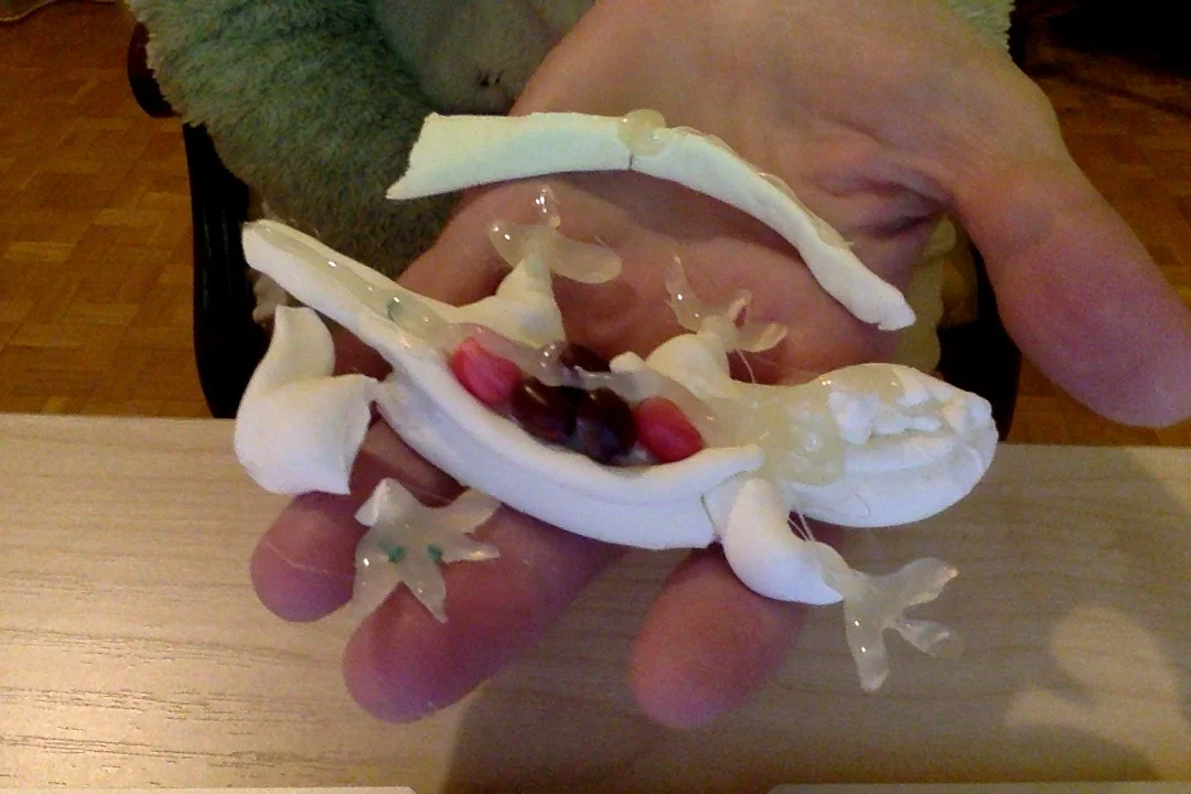 Фотография 19.01.18 в 19.47.webp