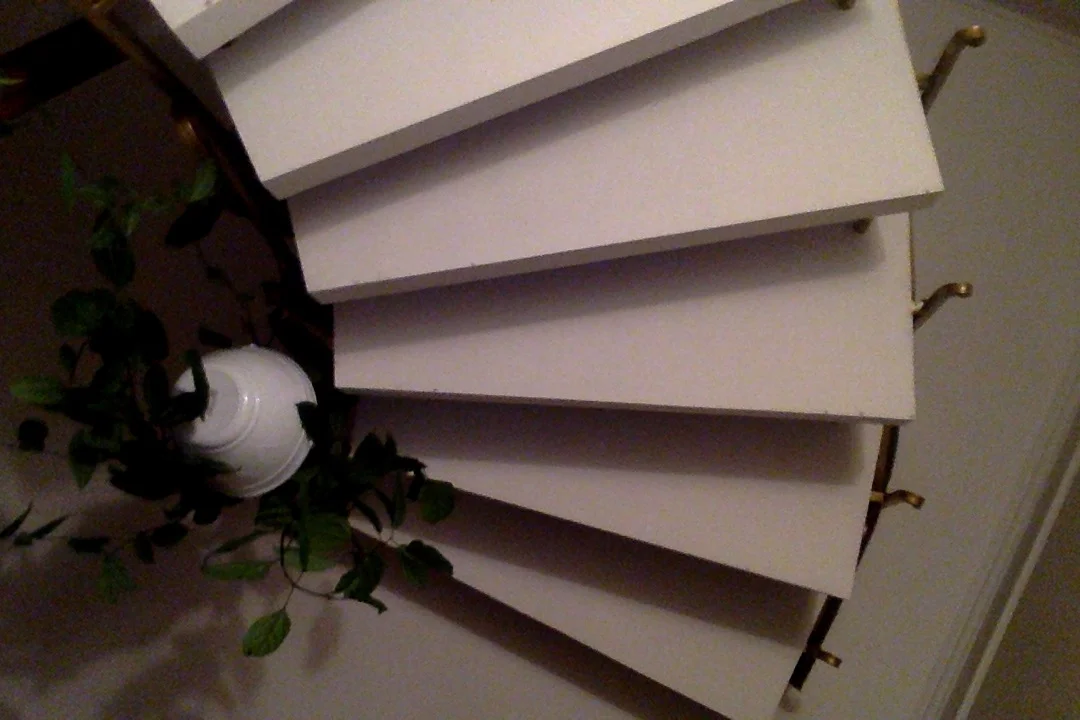 Фотография 20.08.17 в 23.04 #2.webp