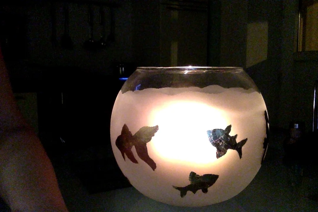 Фотография 20.11.17 в 17.49.webp