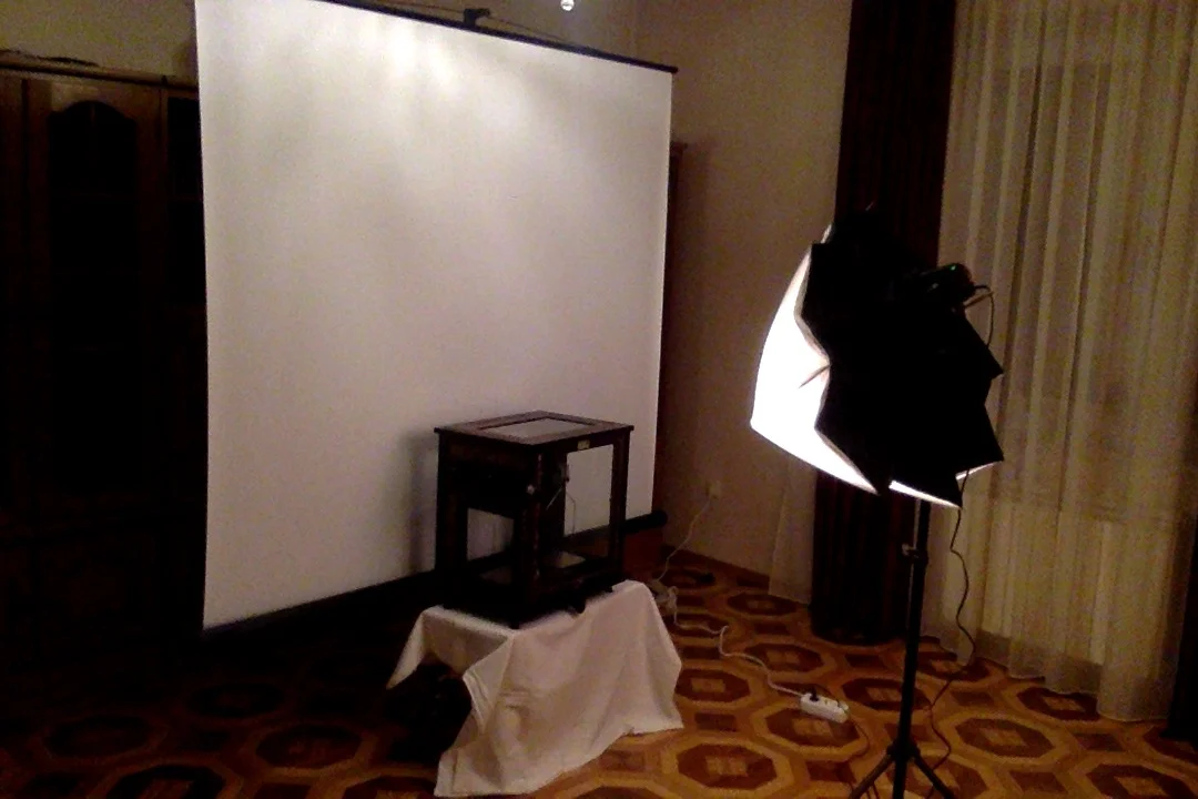 Фотография 22.11.17 в 20.53.webp