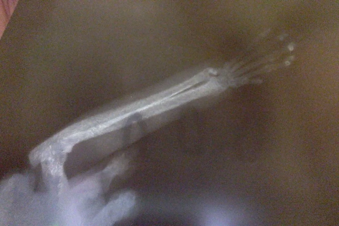 Фотография 25.01.18 в 21.46.webp