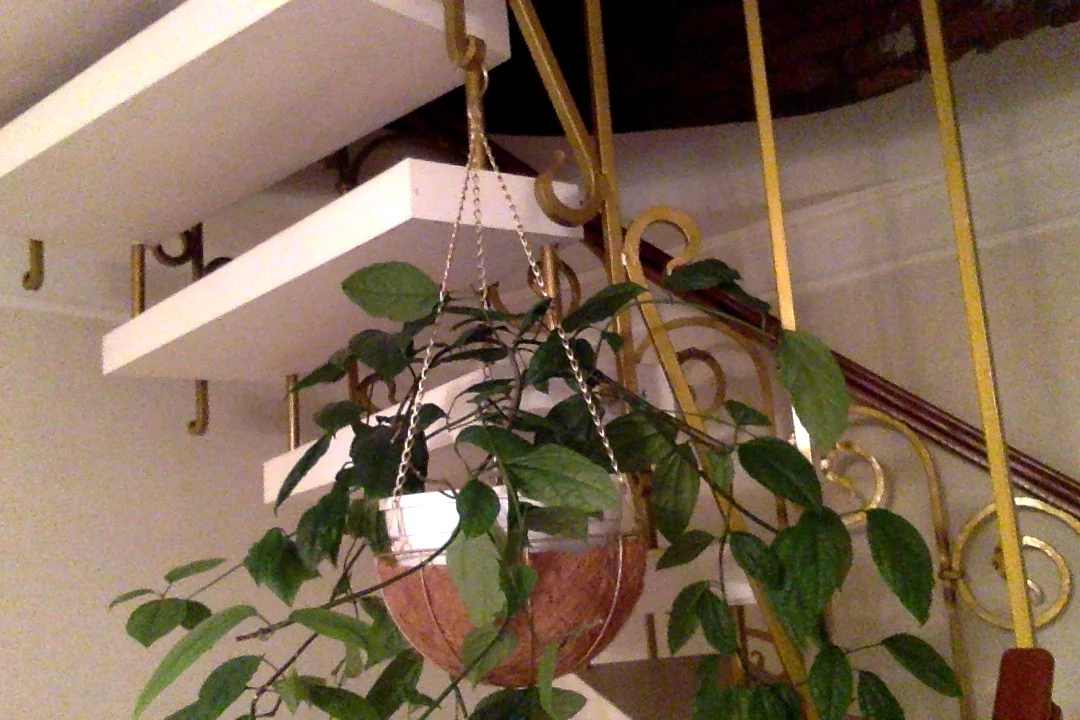 Фотография 26.11.17 в 18.29.webp