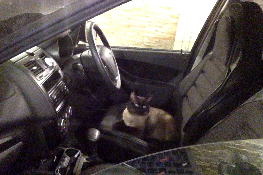 Фотография 28.01.18 в 17.17 #2.webp