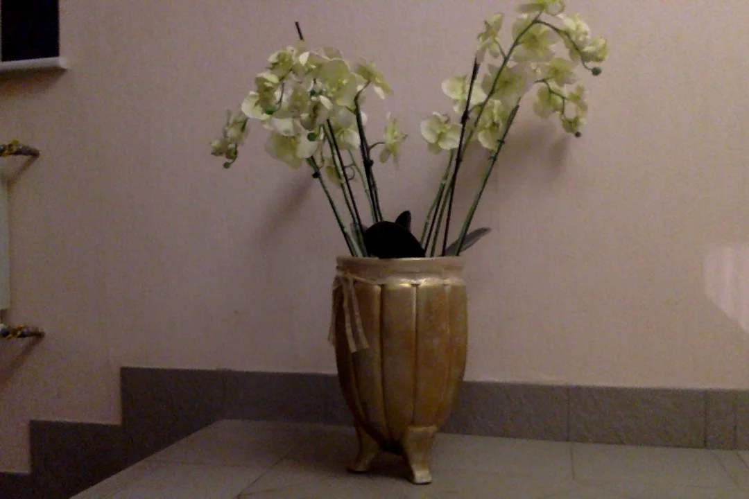 Фотография 30.05.17 в 21.03.webp