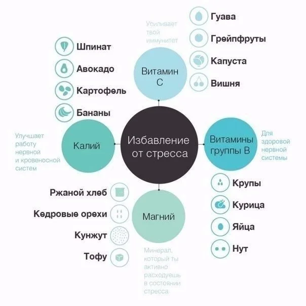 фотография (7).webp