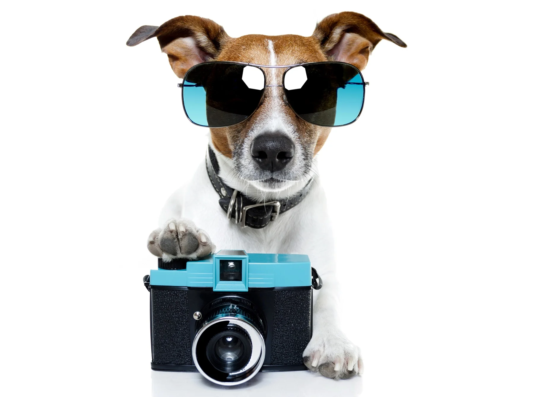 фотография это модно.webp