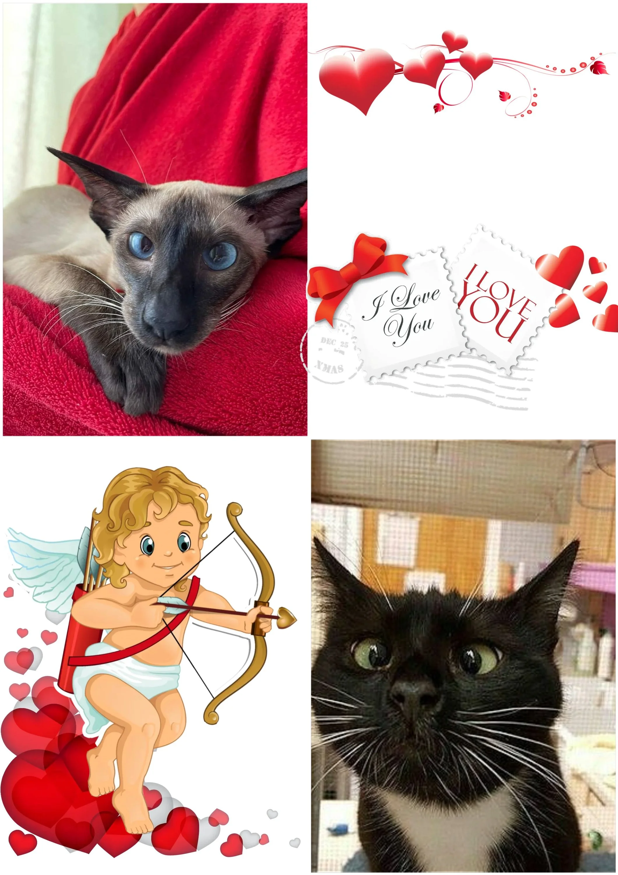 Фотоколлаж (3).webp