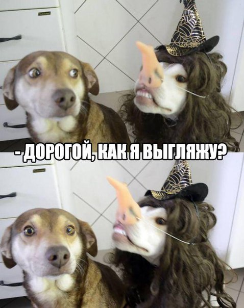 fotoншгщ.jpg