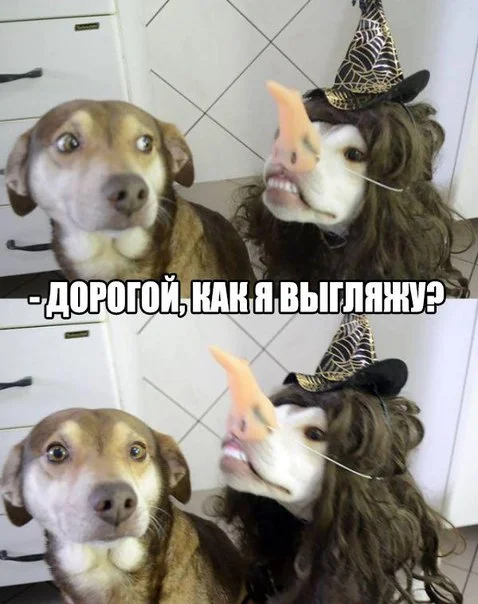 fotoншгщ.webp