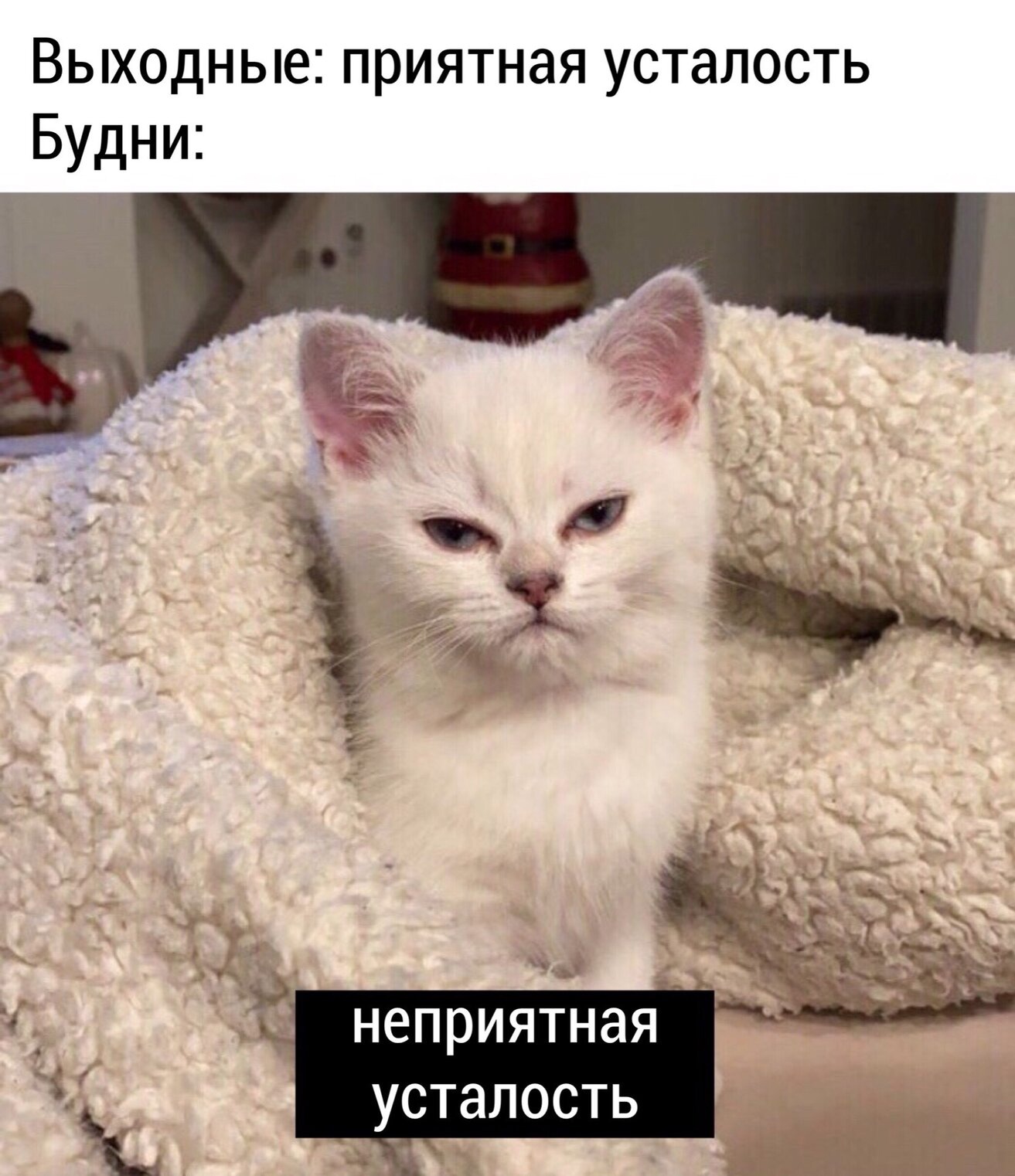 fQaO28HdfPE.jpg