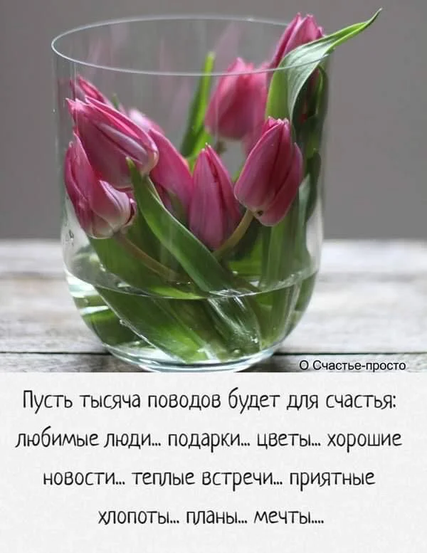 fQVgKeK7kEo (1).webp