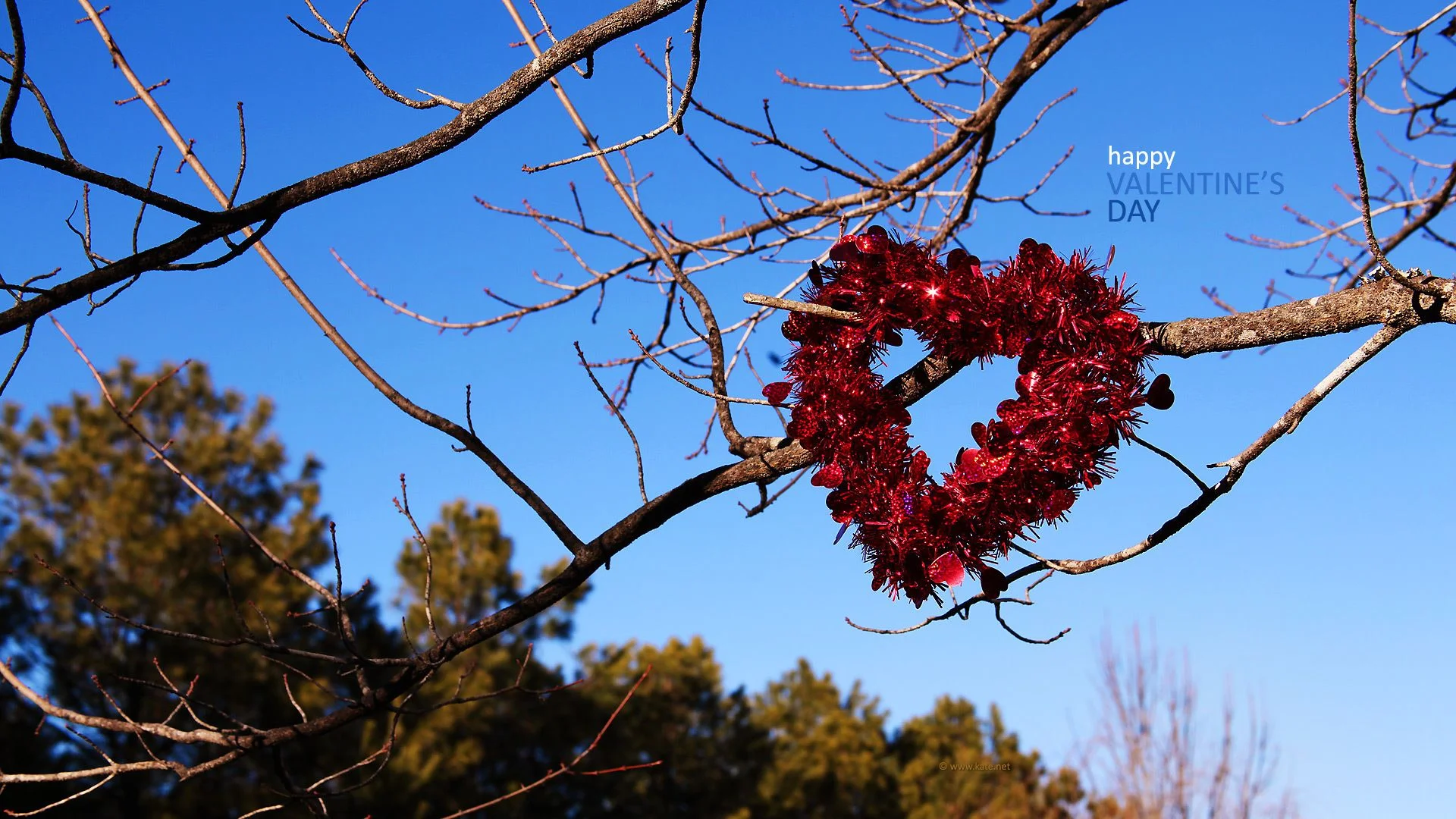 freedom_valentines-1920x1080.webp