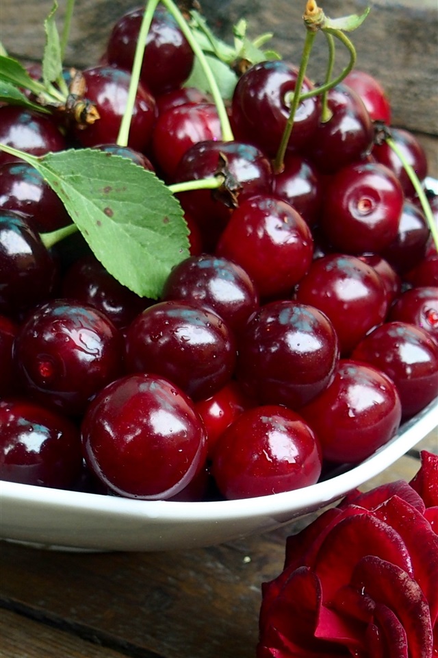 Fresh-red-cherries-red-rose-water-drops_iphone_640x960.jpg