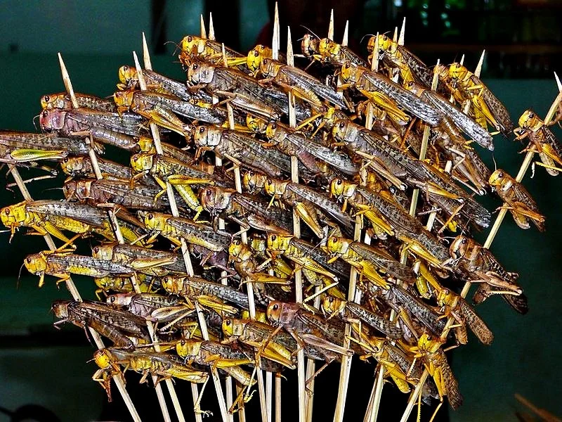 fried-grasshoppers-in-bangkok-restaurants_1.webp