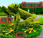 frog30_2.png