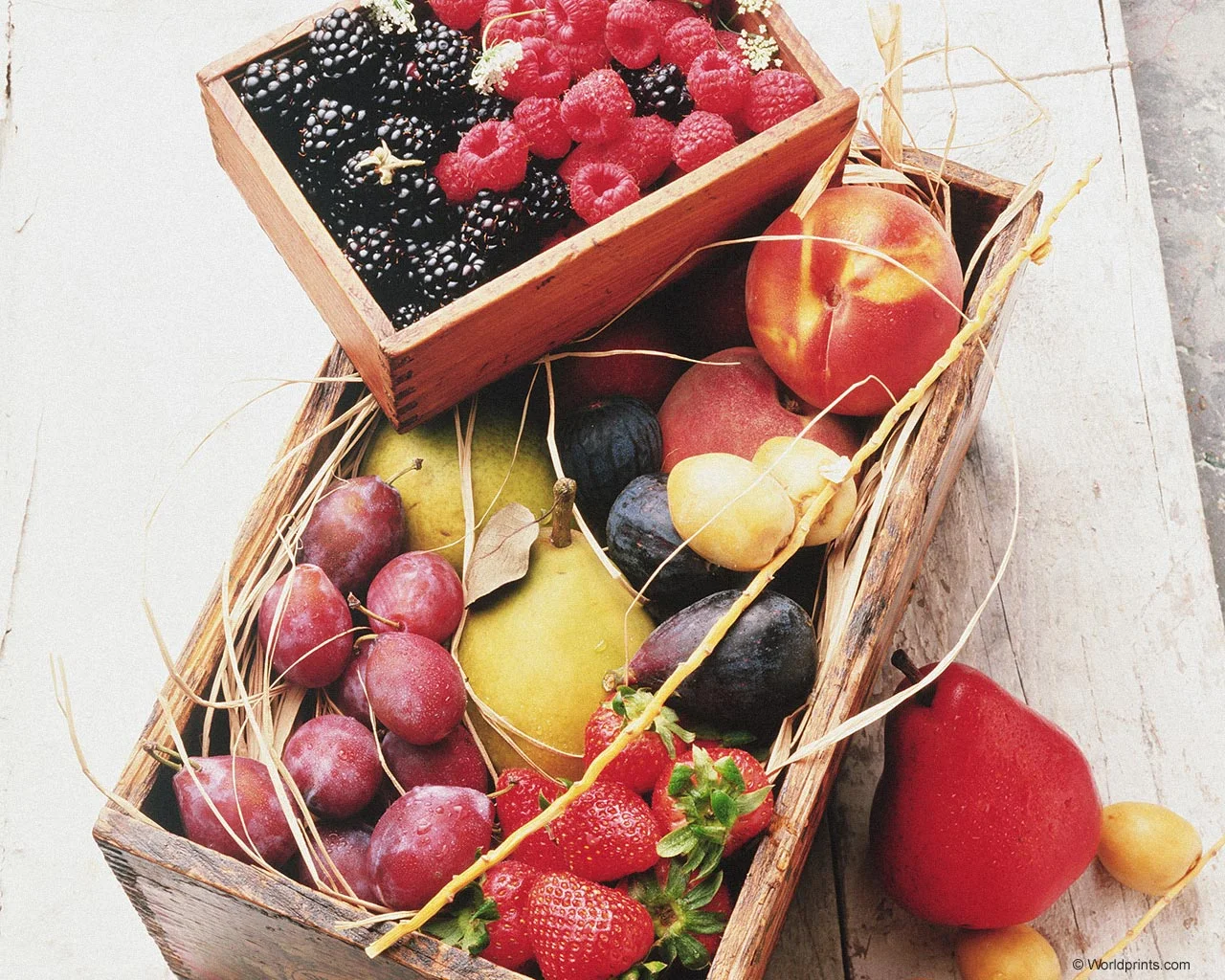 FRUIT_20.webp