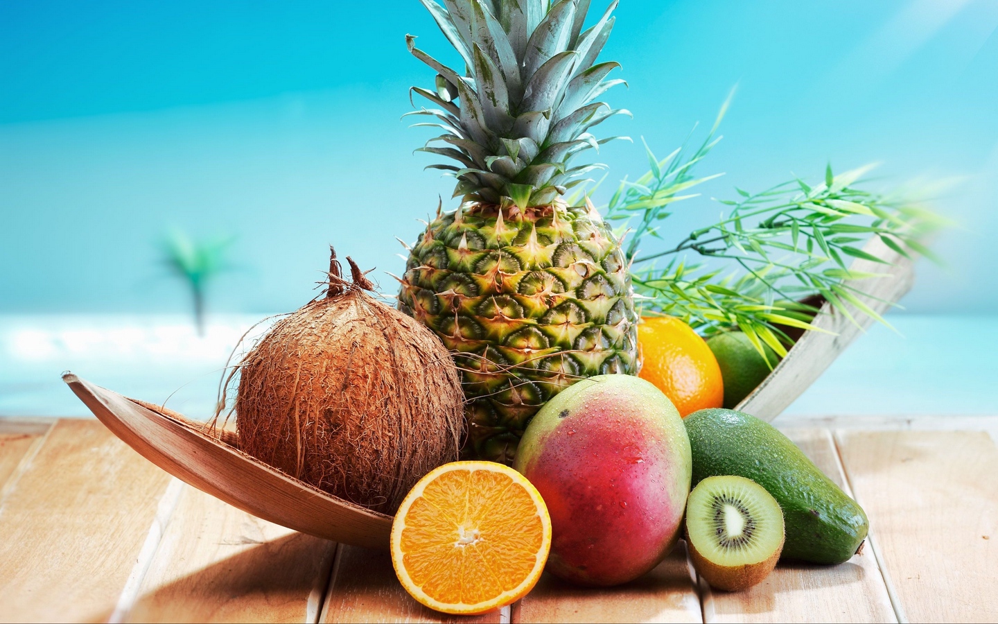 fruit_pineapple_coconut_avocado_mango_kiwi_orange_96617_1440x900.jpg