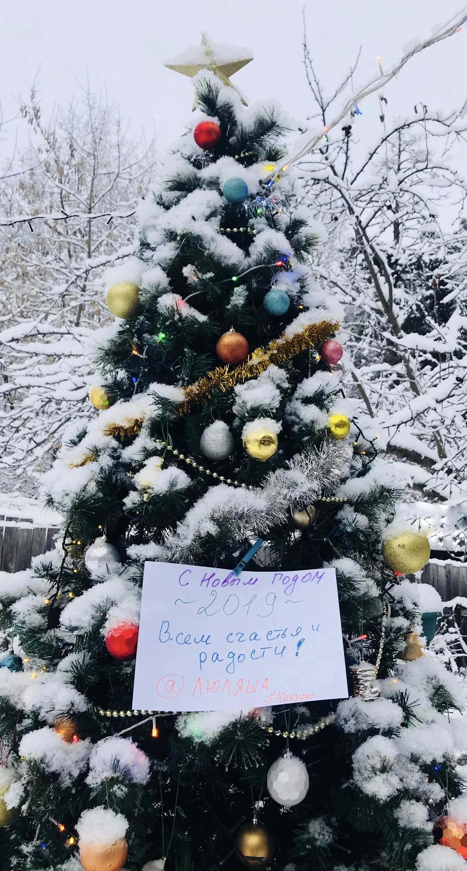 FullSizeRender 2.webp