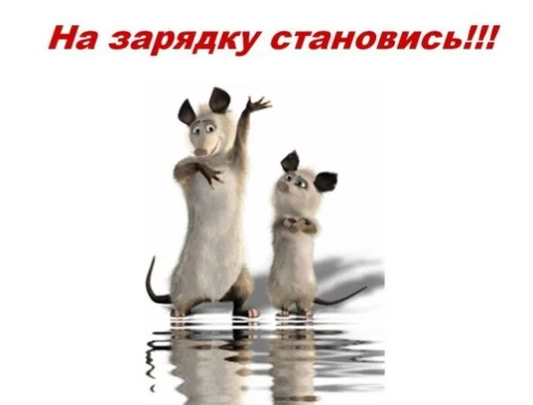 funny-klev-club-p-smeshnie-kartinki-na-zaryadku-stanovis-1.webp