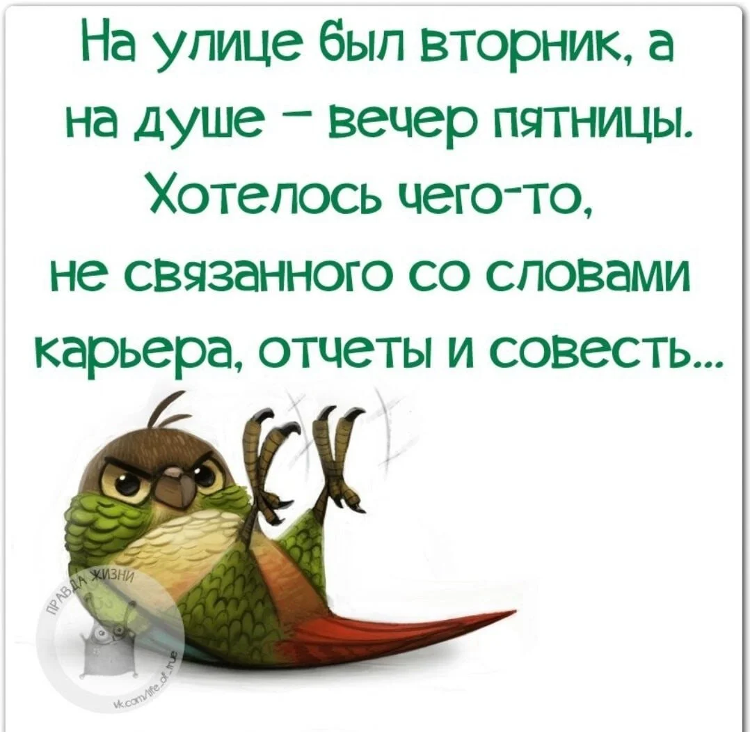 funny-klev-club-p-smeshnie-kartinki-tolko-vtornik-29.webp