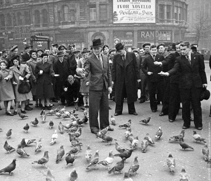 Футболисты московского «Динамо» в Лондоне, ноябрь 1945.jpg