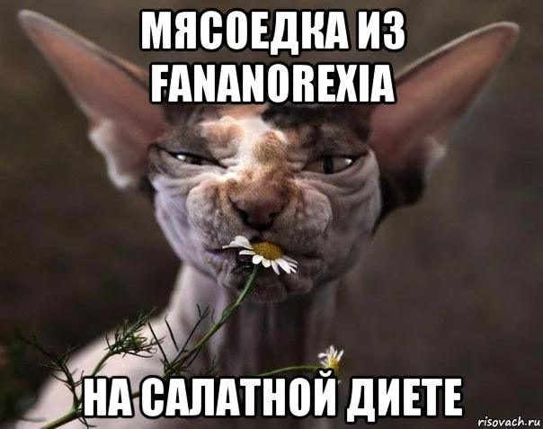 fyvap_93547143_orig_.webp