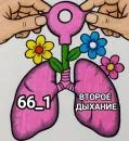 g2jha4SxrDUIE7AaJYajvKA808dPpmCsKCqO51PQ.webp
