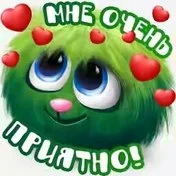 g7V_y1aLft8 (1).webp