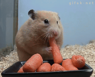 g7wfc[1].gif