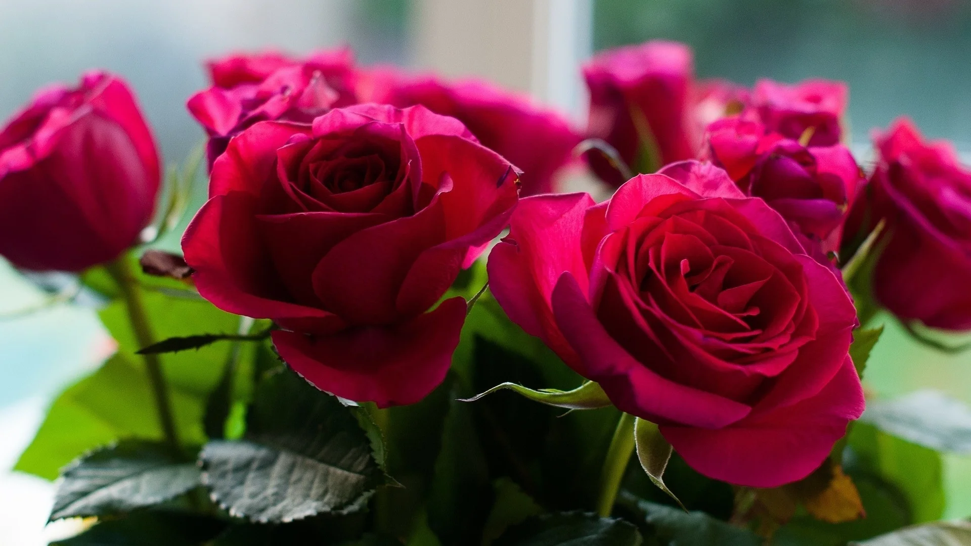 gallery_file_16585_o.webp
