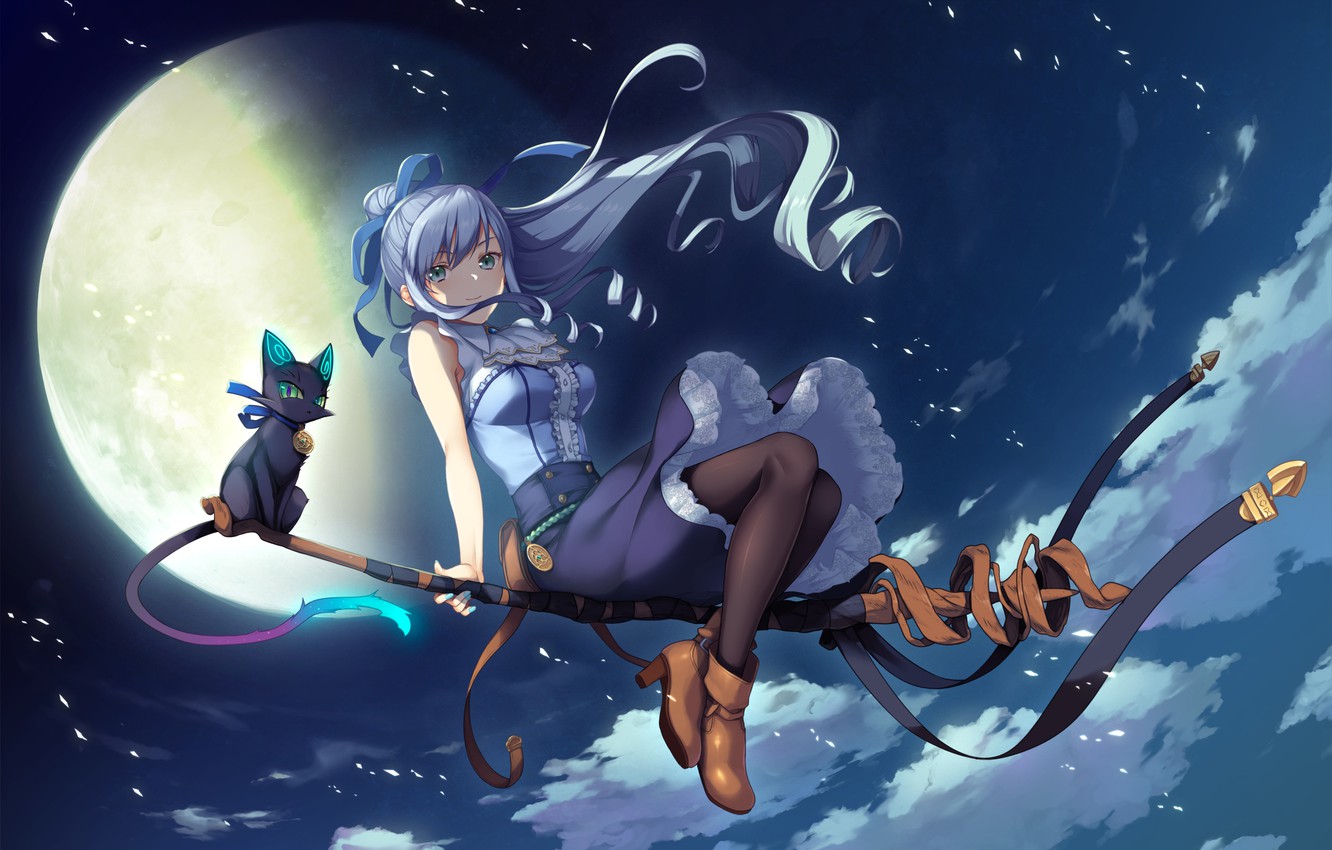 games-art-anime-deep-one-devushka-metla-vedma-koshka-luna-no.jpg