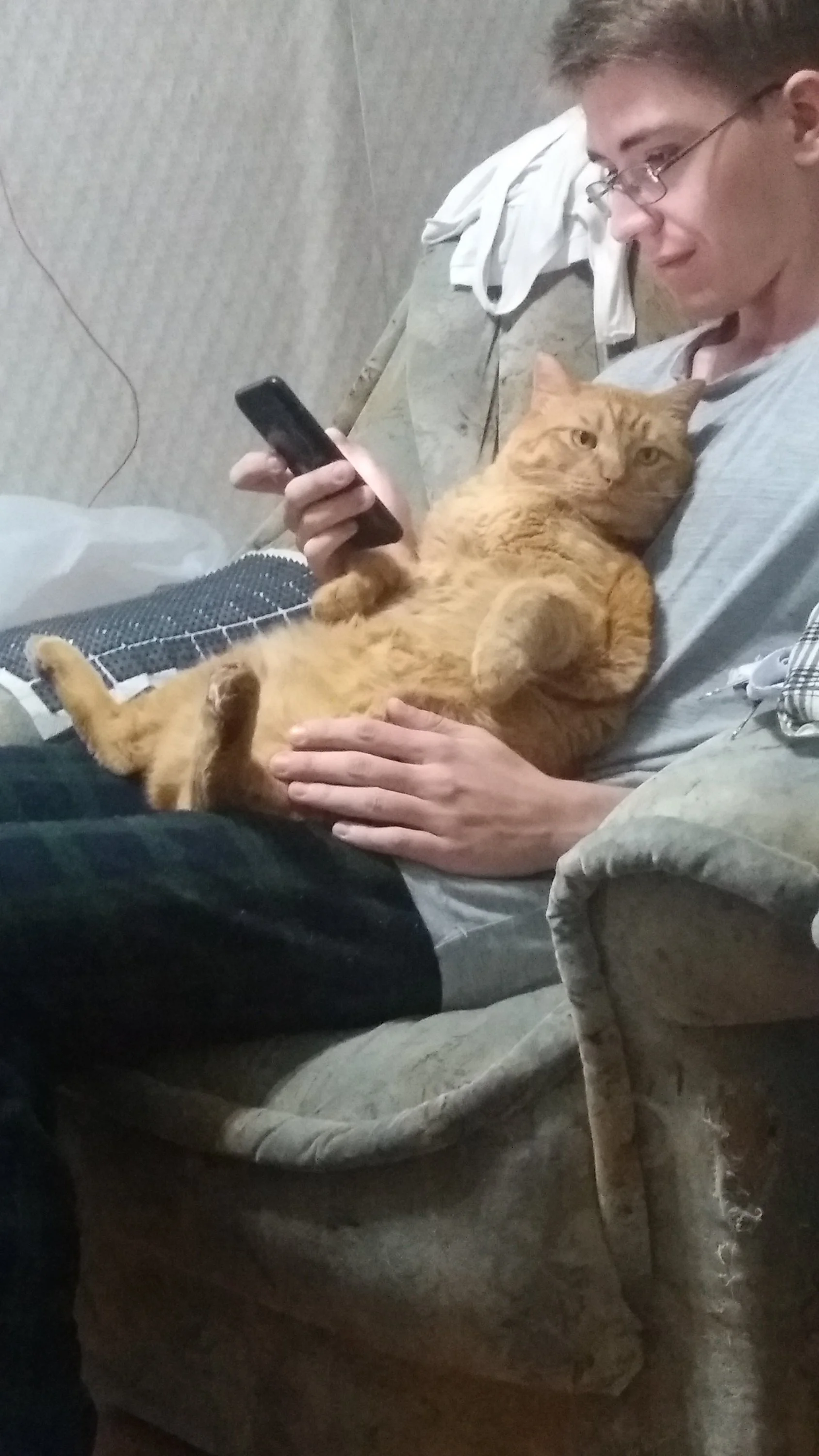 Гарфилд (1).webp