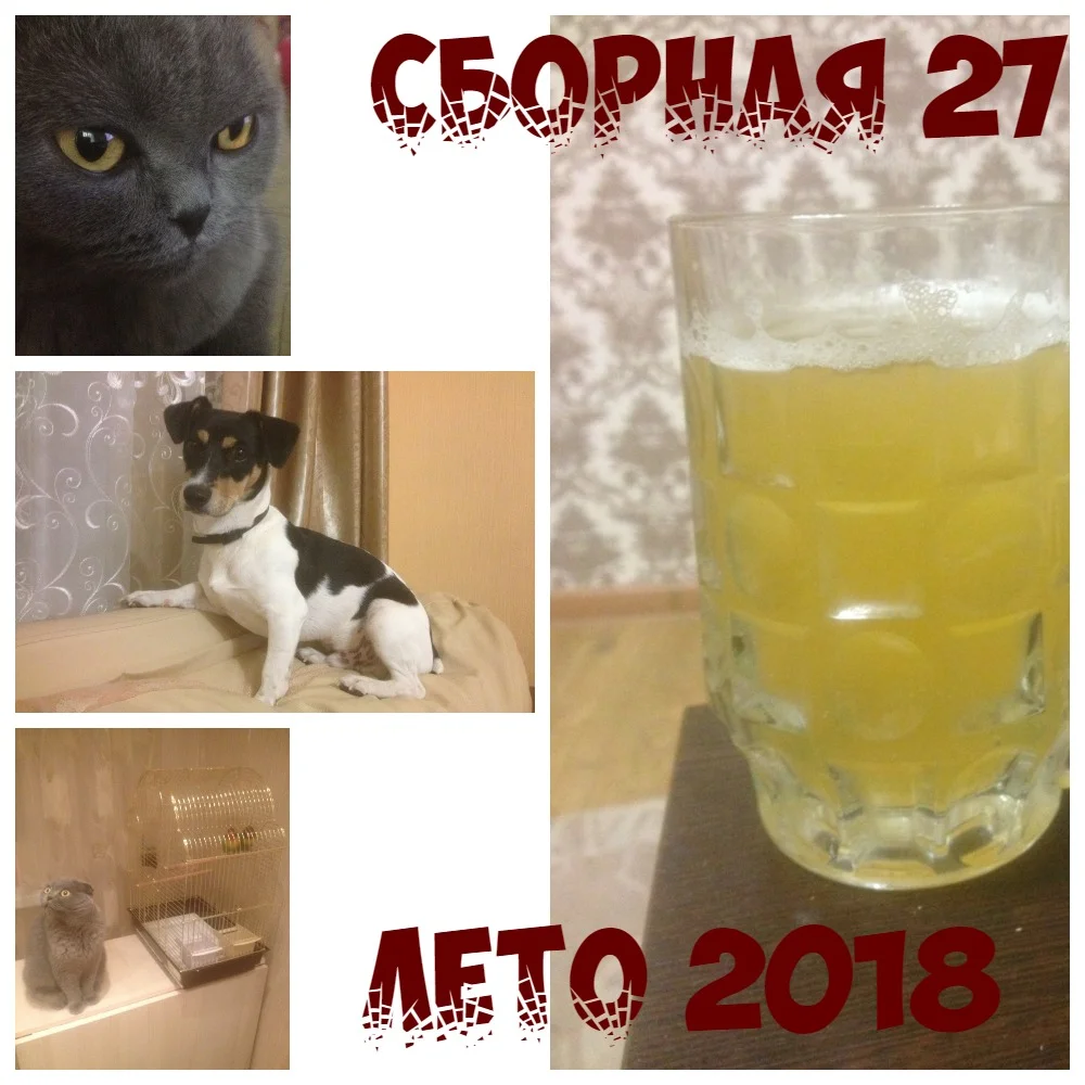 Гарик коллаж.webp